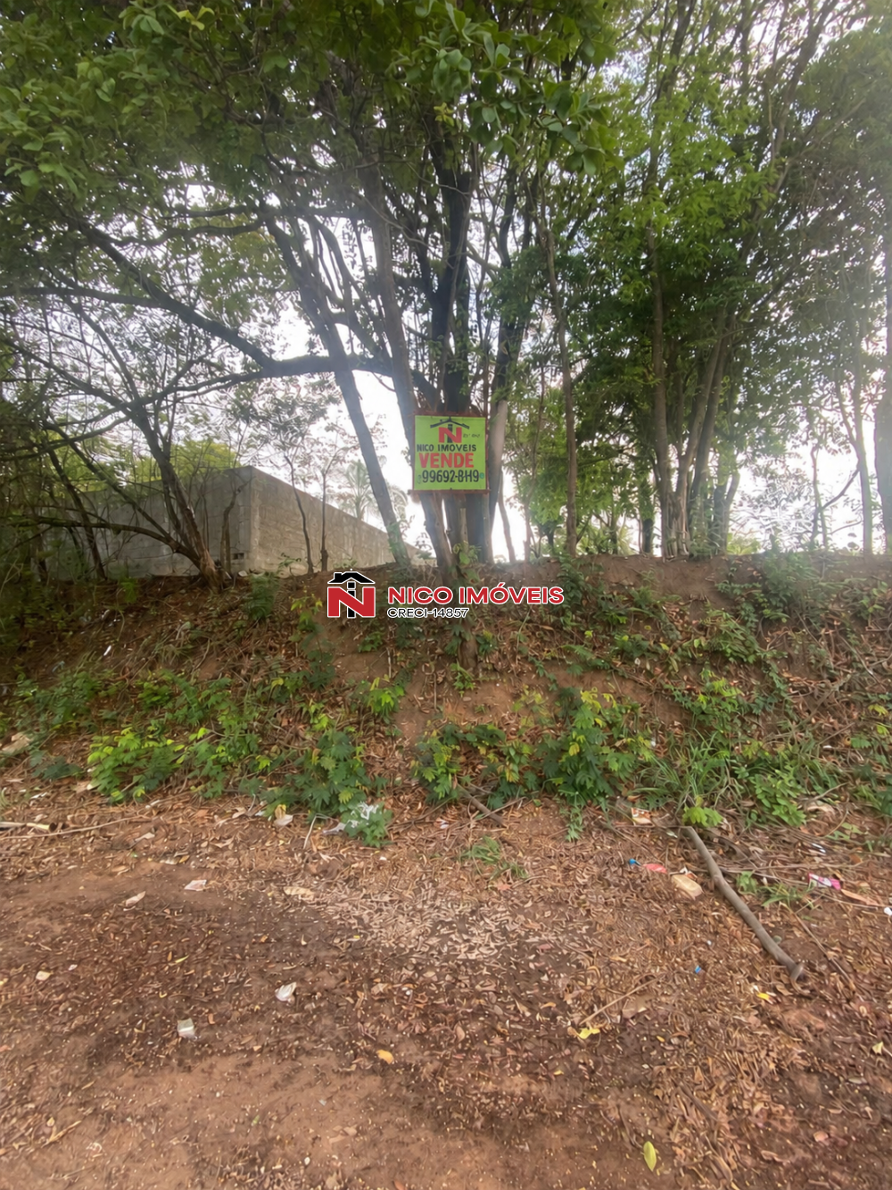 Lote > venda > Marímba - Betim