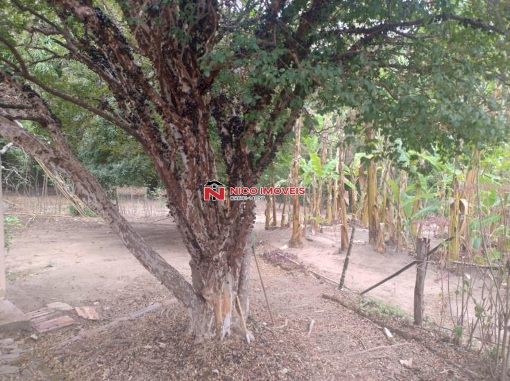 chacara-venda-bairro-marimba-betim-mg-1054798